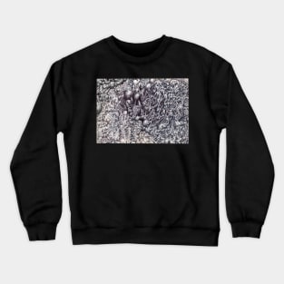 Organic Eruption Crewneck Sweatshirt